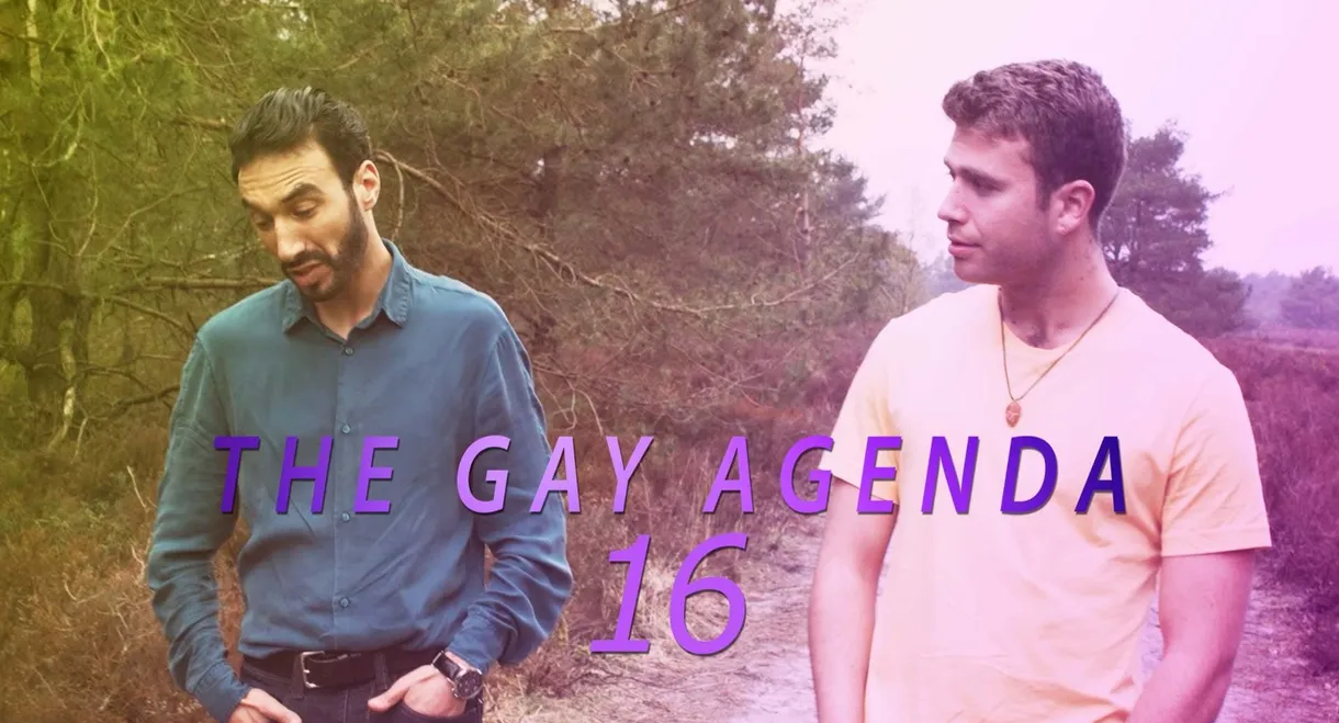 The Gay Agenda 16