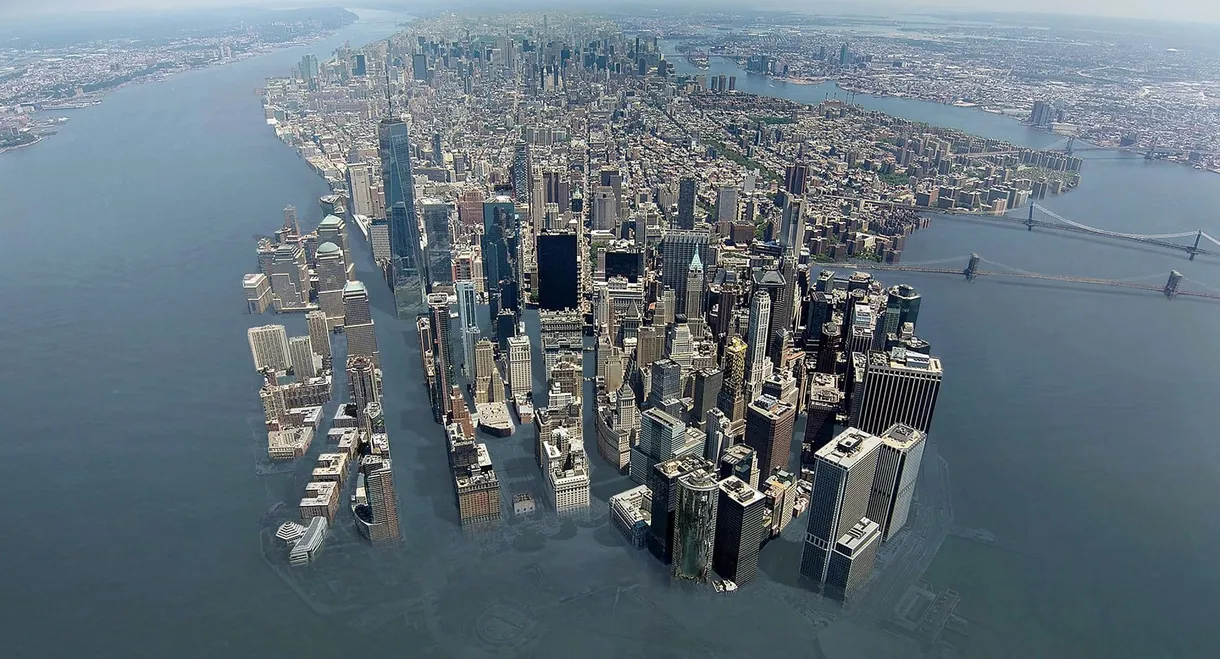 Megalopolis facing sea level rise