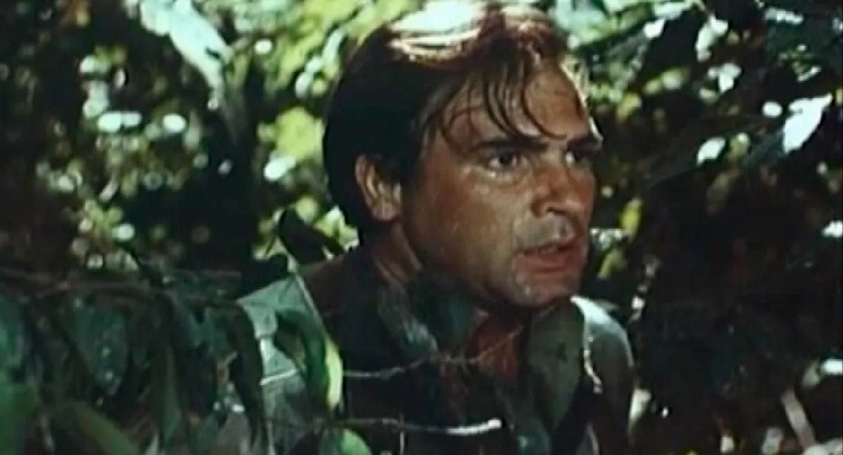 No Stars in the Jungle