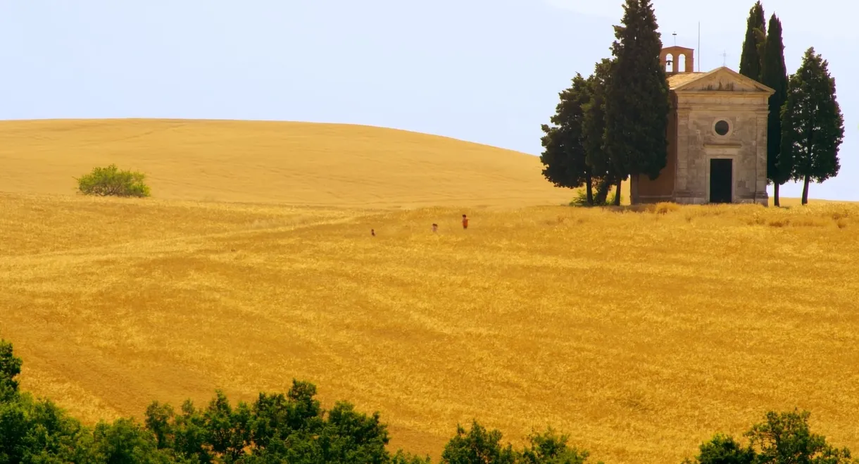 Mare di grano