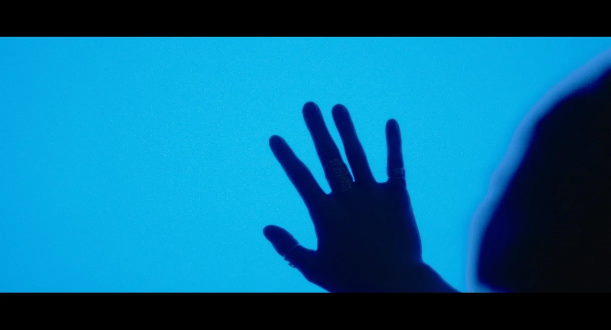 Lucid
