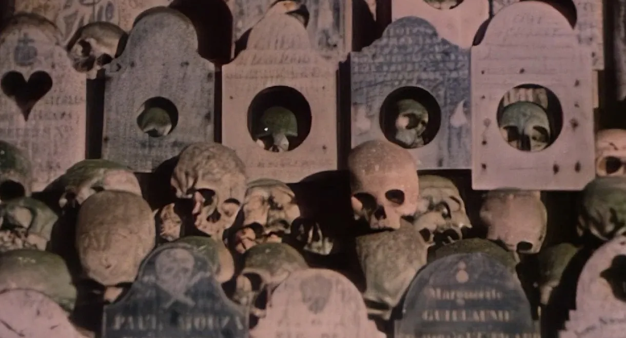Faces of Death II