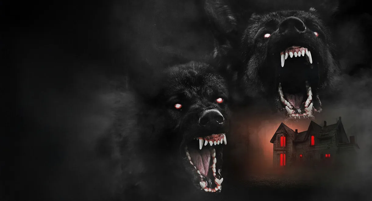 The Dogs