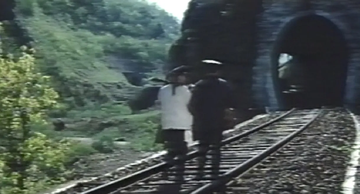 Miles Along the Railway