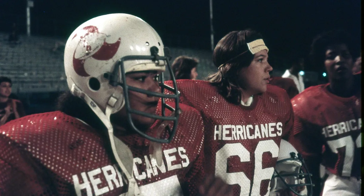 The Herricanes