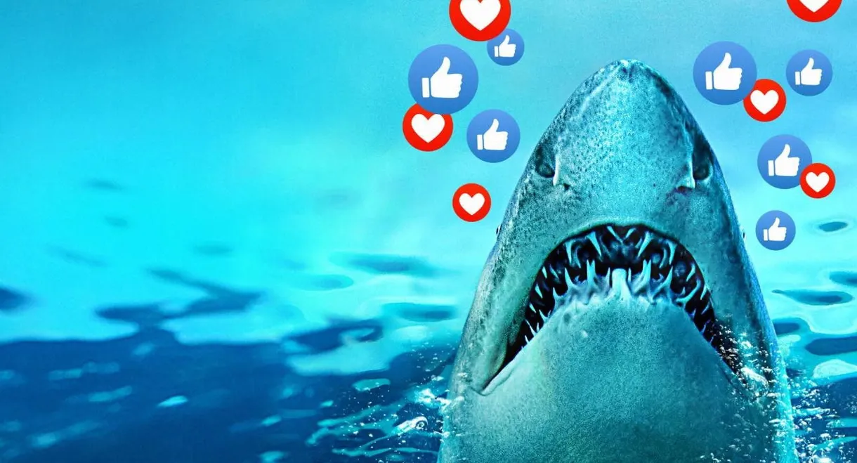 Sharks Gone Viral