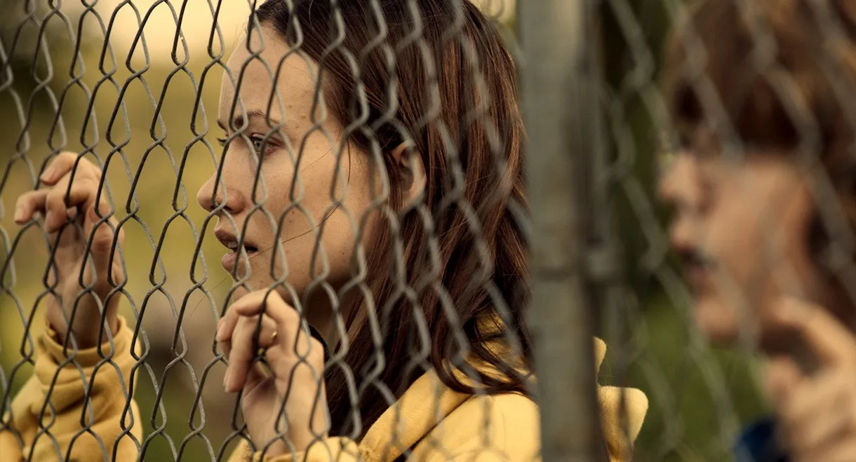 Meadowland