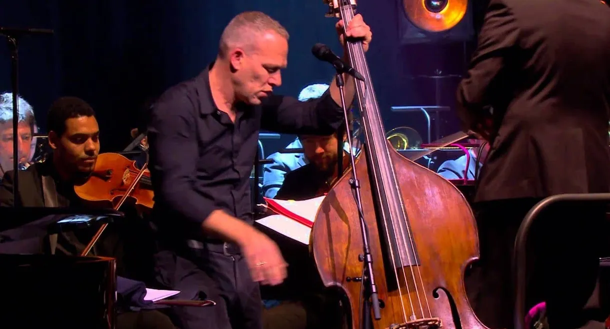 Avishai Cohen Symphony