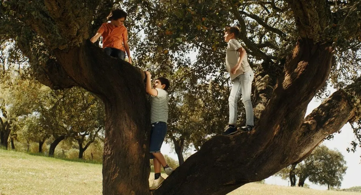 Sara, Manuel e João