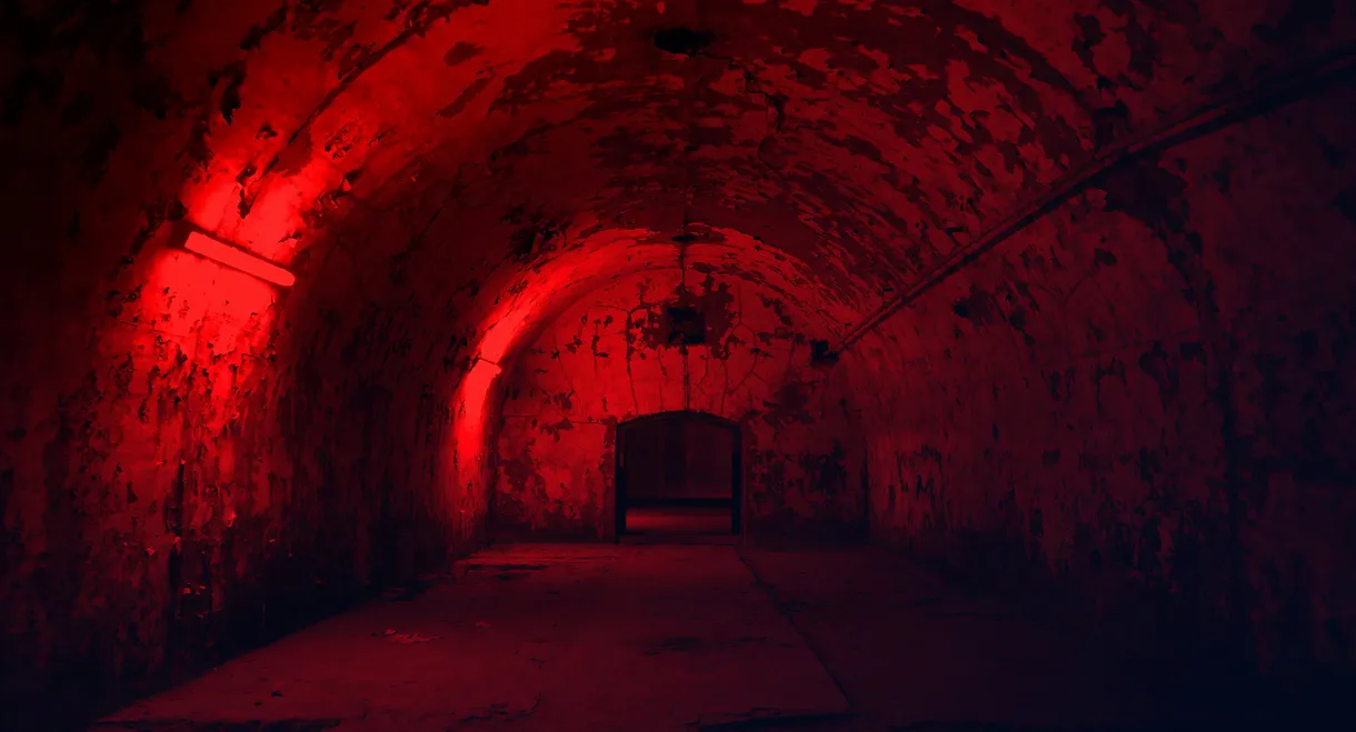 Hitler's Hidden City