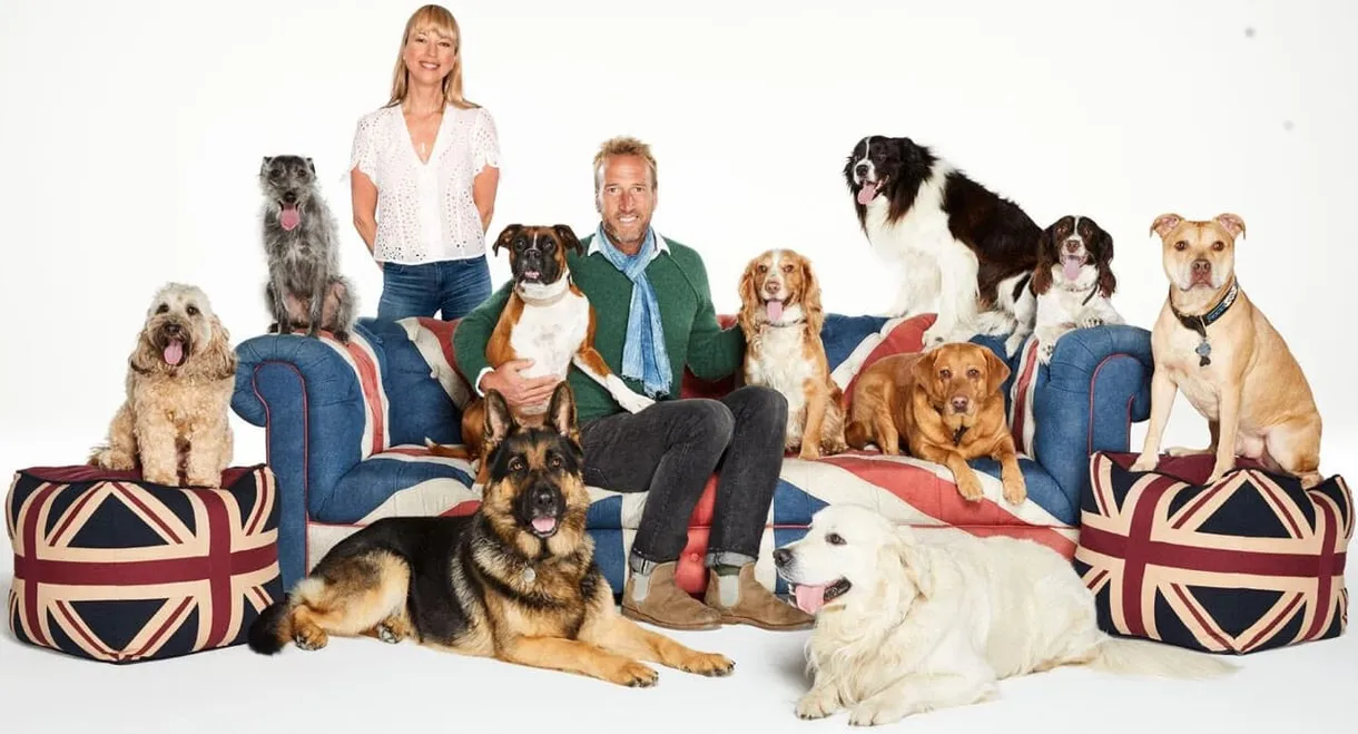 Britain's Favourite Dogs: Top 100