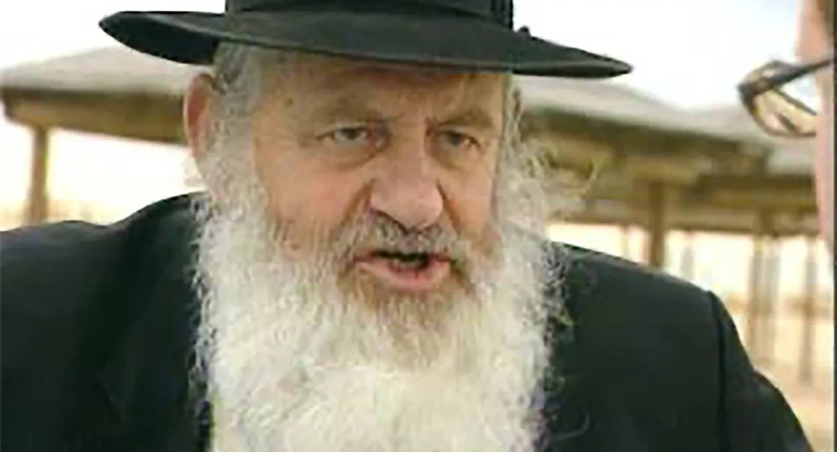 Uri Zohar: Peeping In