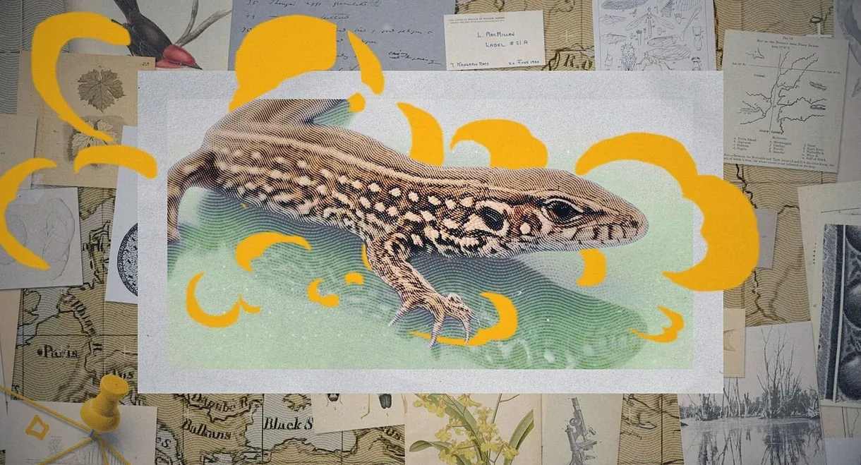 Darwin express - Les nouveaux défis de l'évolution