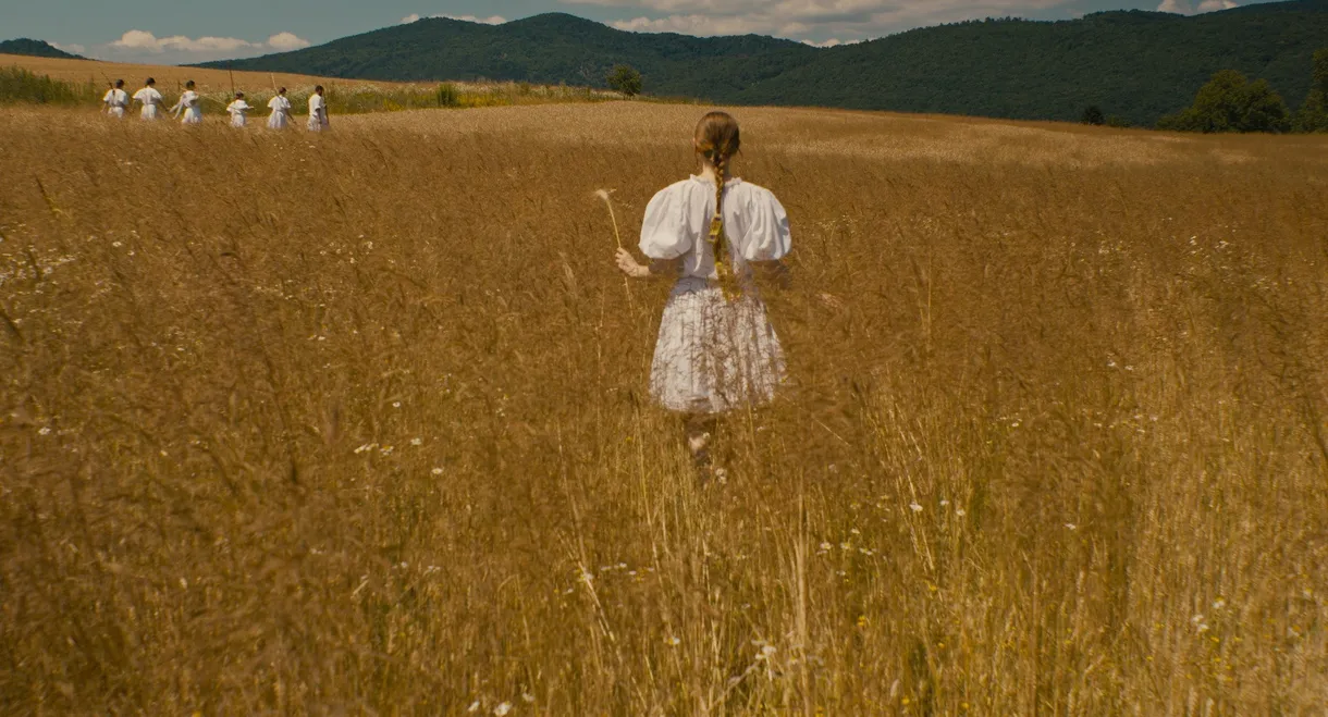 The Harvest
