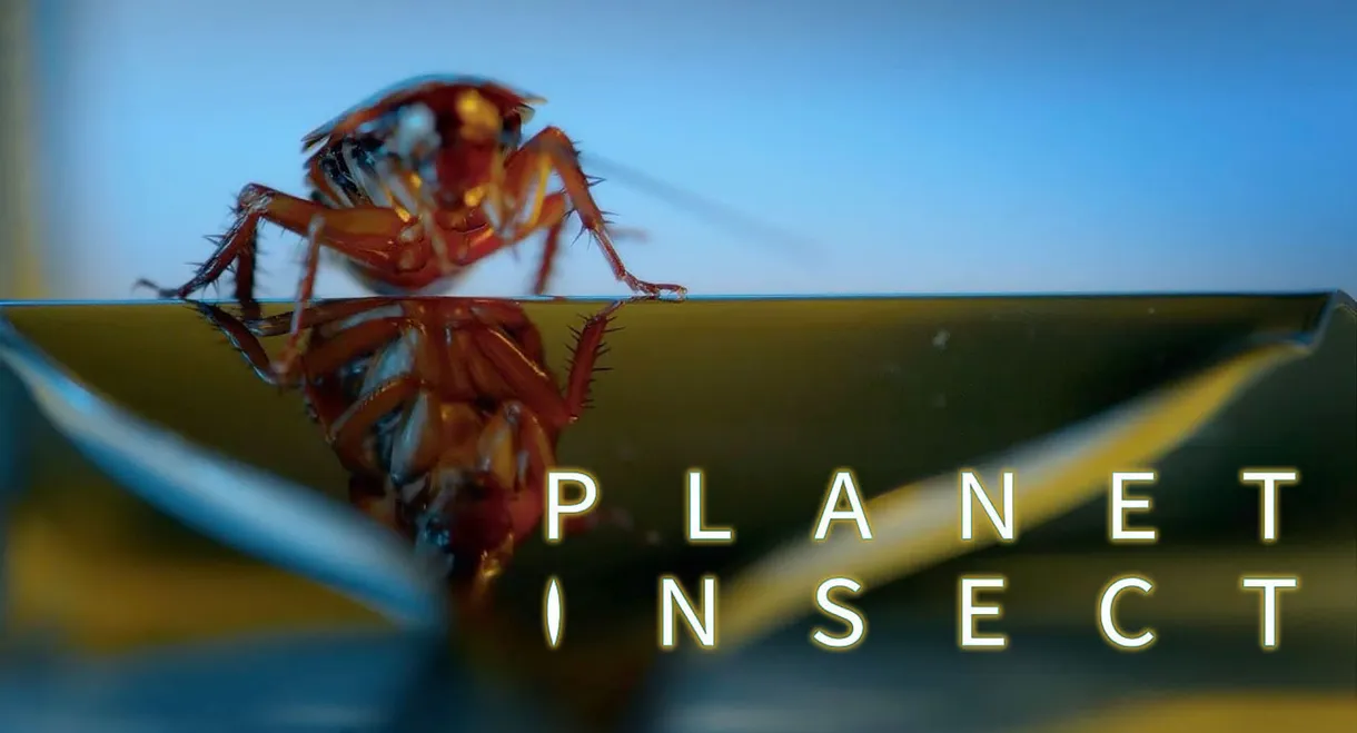 Planet Insect