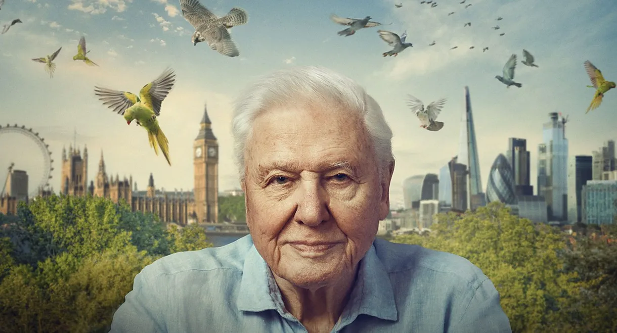 Wild London
