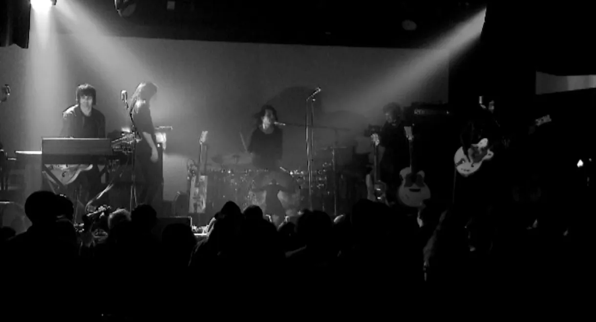 The Dead Weather: Sea Of Cowards - Live At Third Man Records