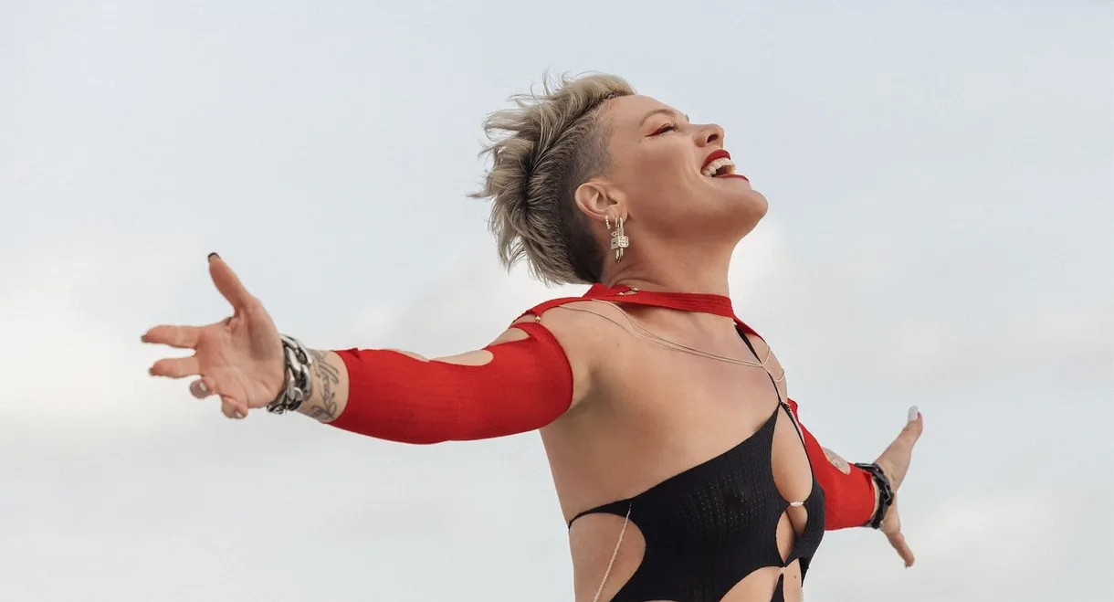 P!NK: Mein Leben in Songs