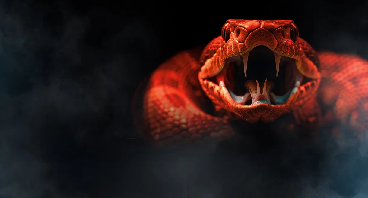 One Big Snake