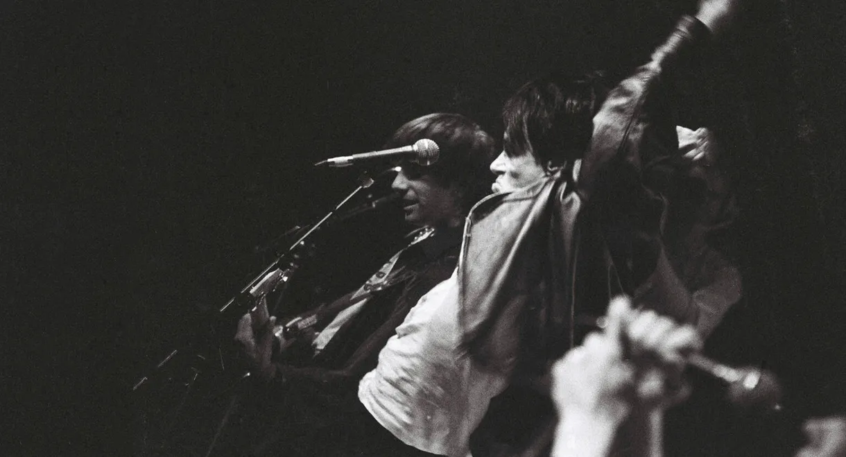 Sonic Youth: Screaming Fields of Sonic Love