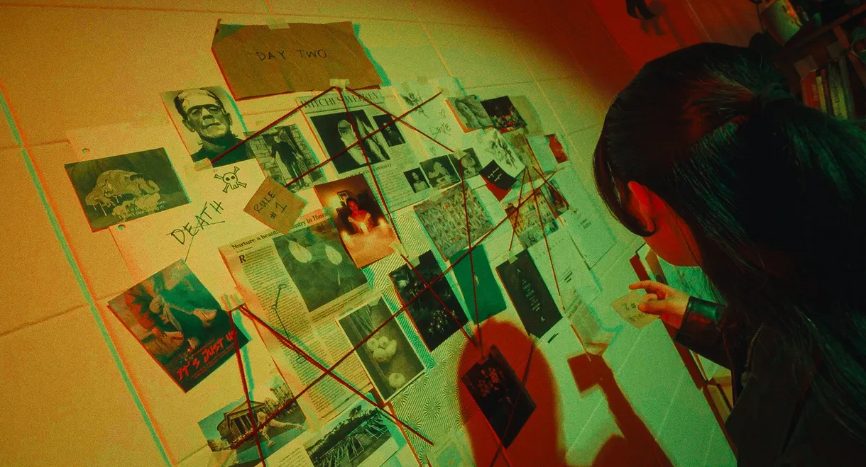 My Name is Alice
