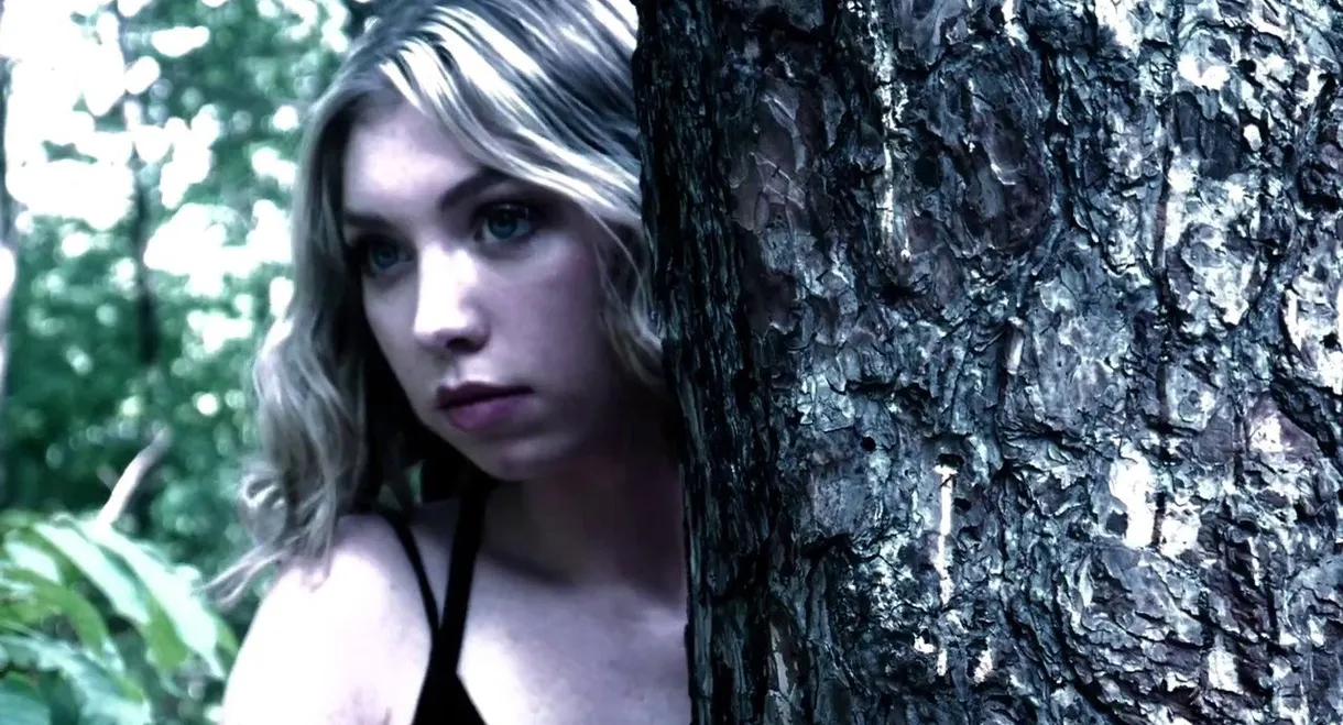 North Woods