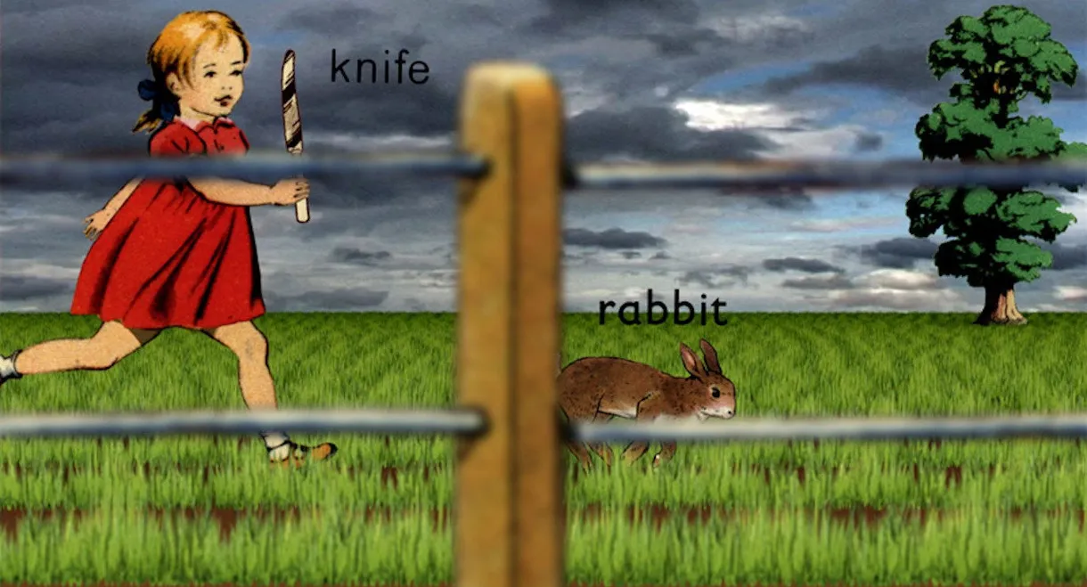 Rabbit