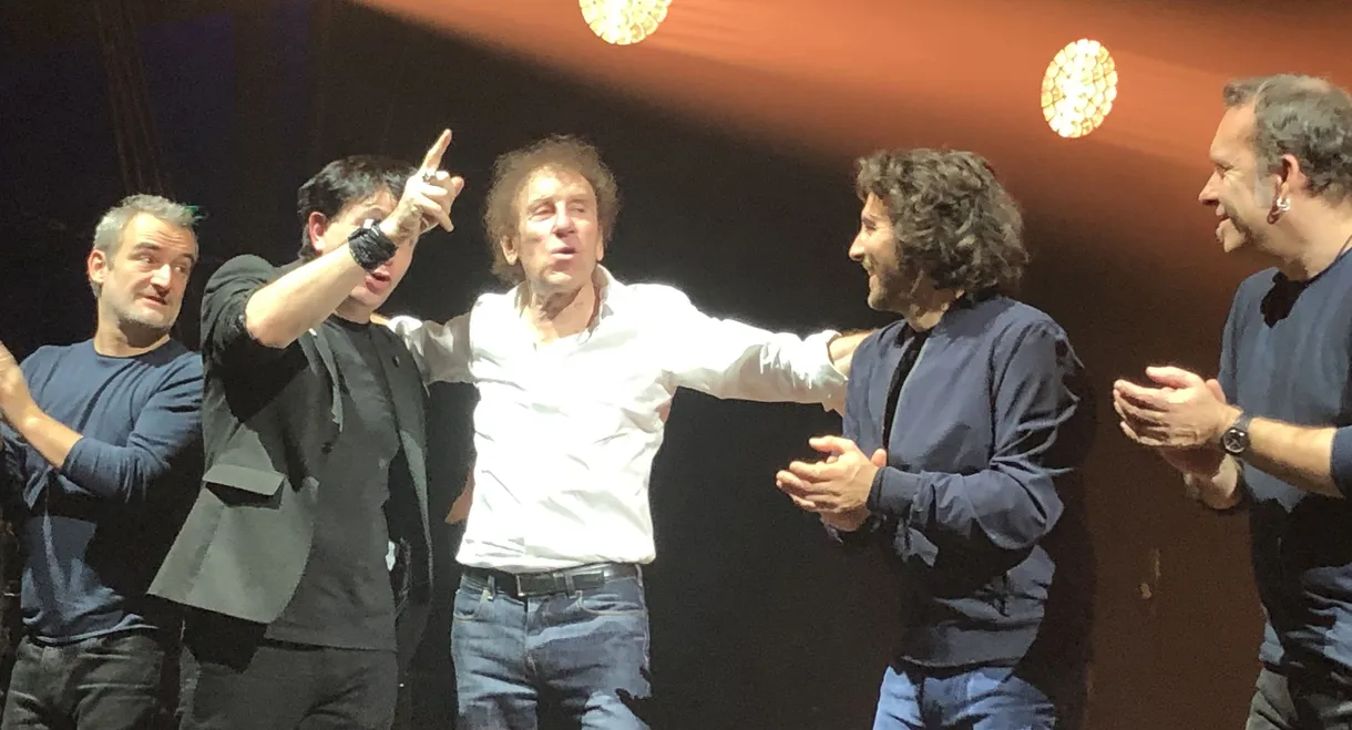 Alain Souchon au Palais des Sports