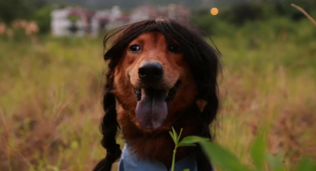 Carry On Carry Me