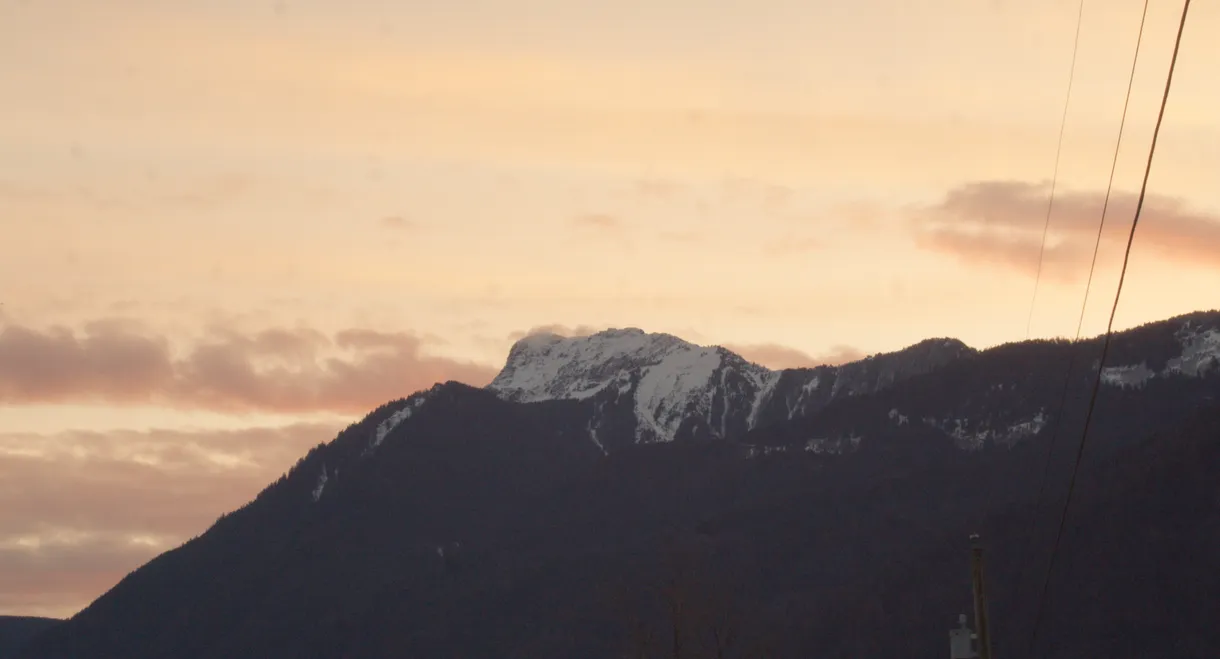A Sunrise Run