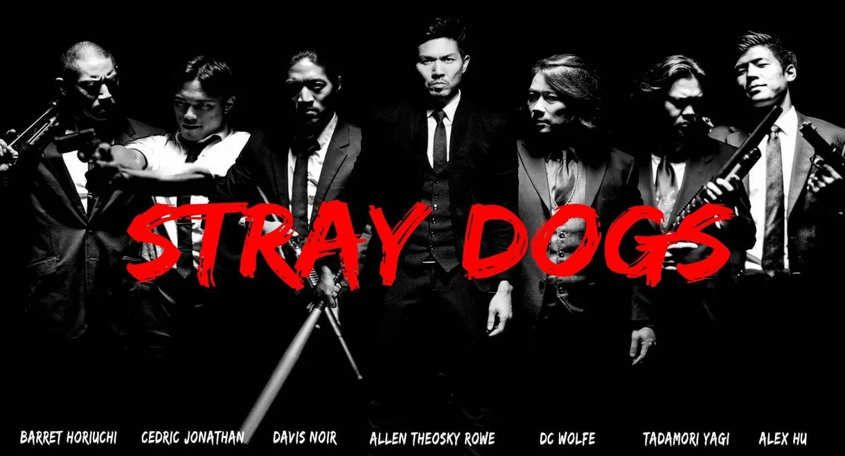 Stray Dogs