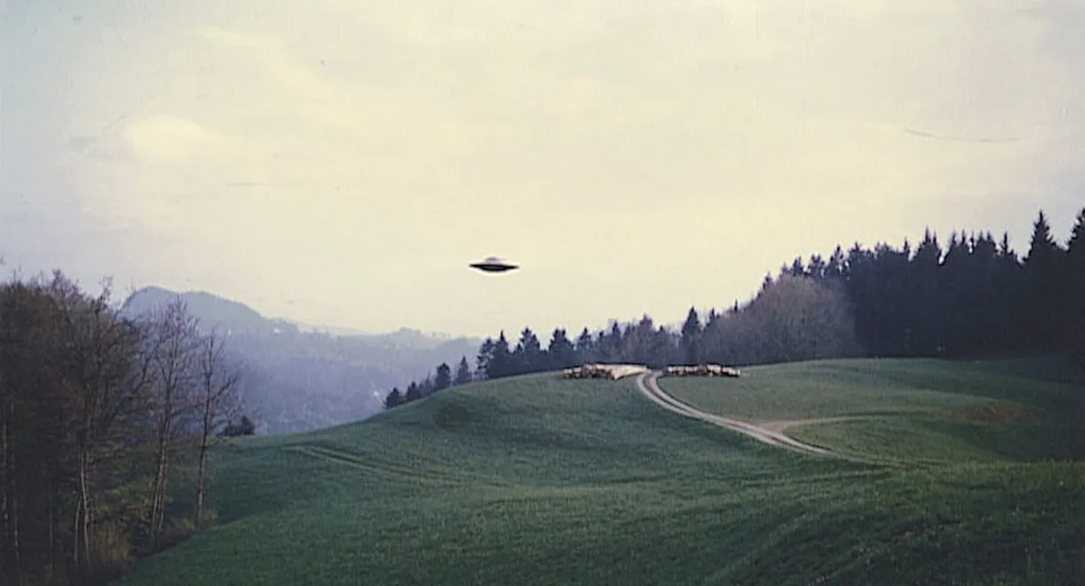 Contact