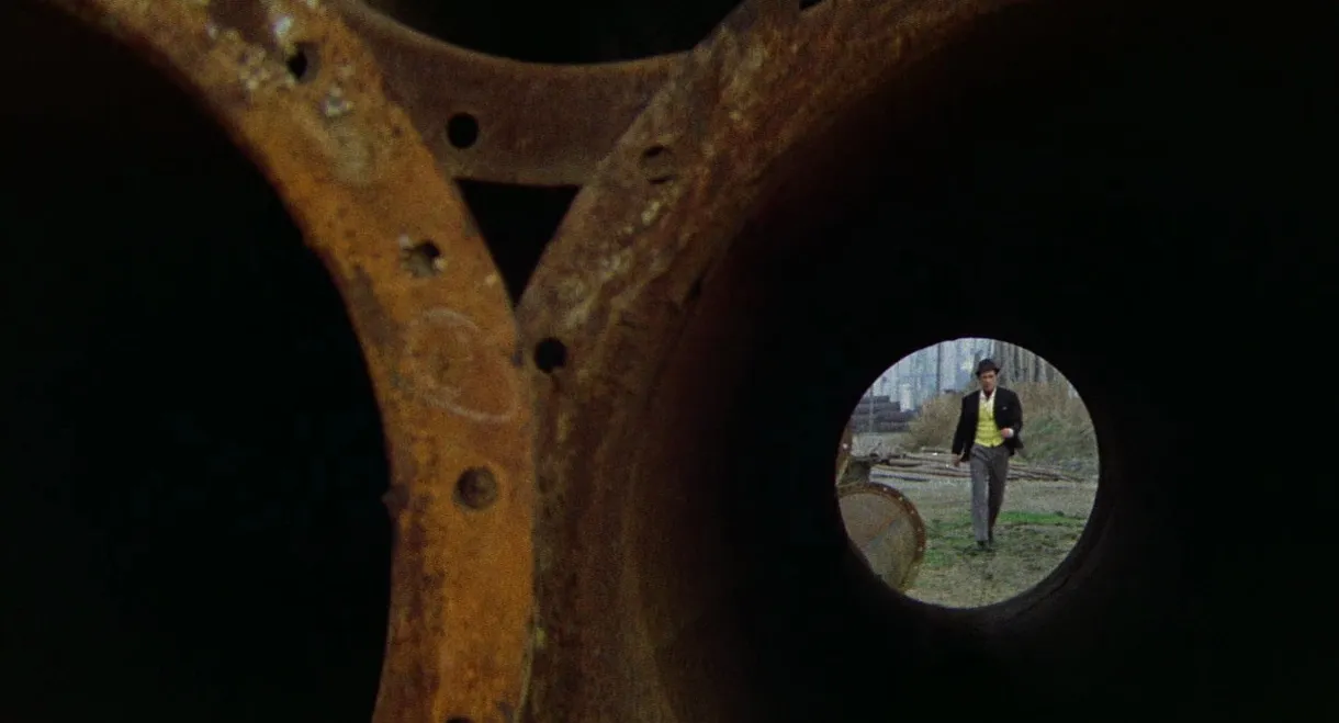 Return of Gun Dog