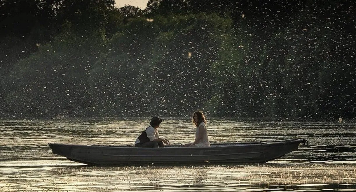 Mayflies