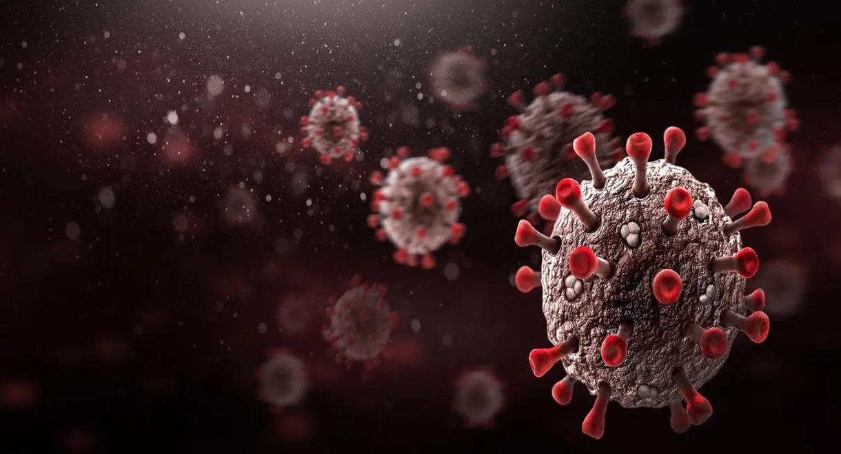 Covid-19 Outbreak: Minute by Minute