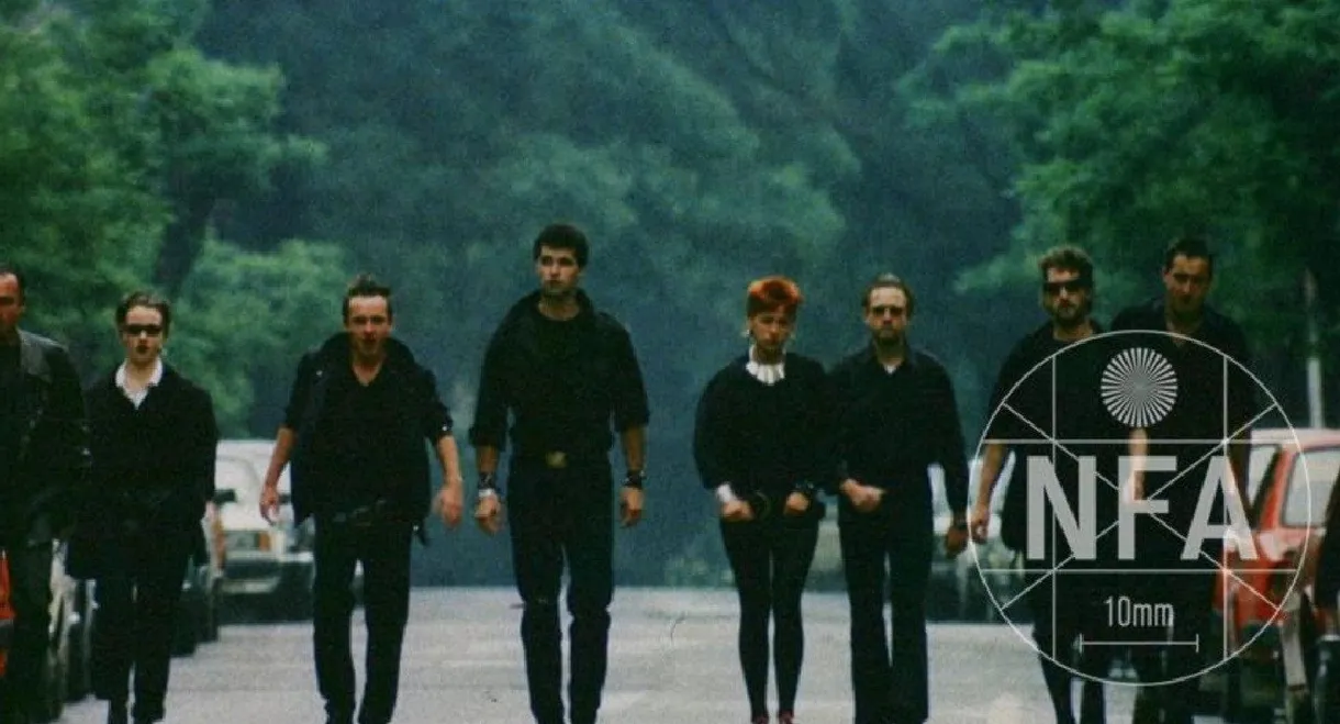 The Seven