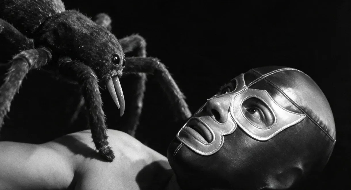 Hellish Spiders