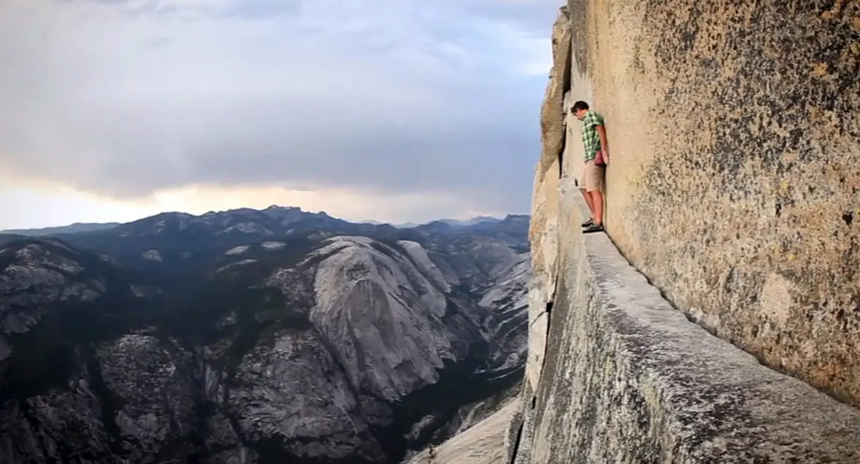 Alone On The Wall