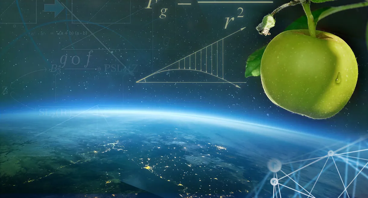 The Amazing World of Gravity