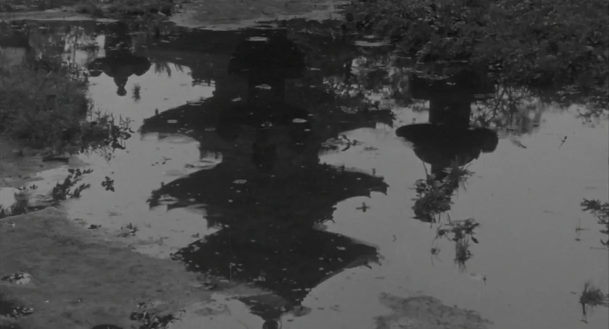 The Wild Geese