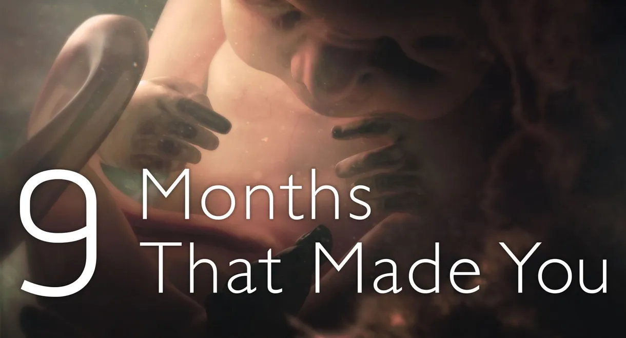 9 Months That Made You