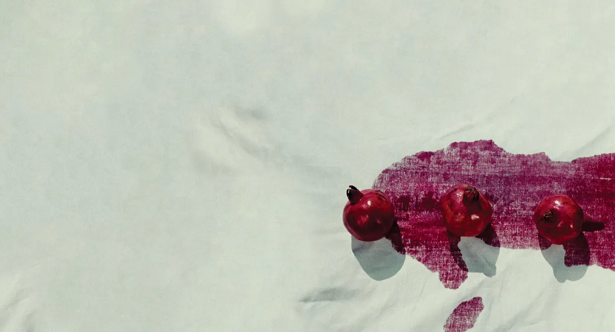 The Color of Pomegranates