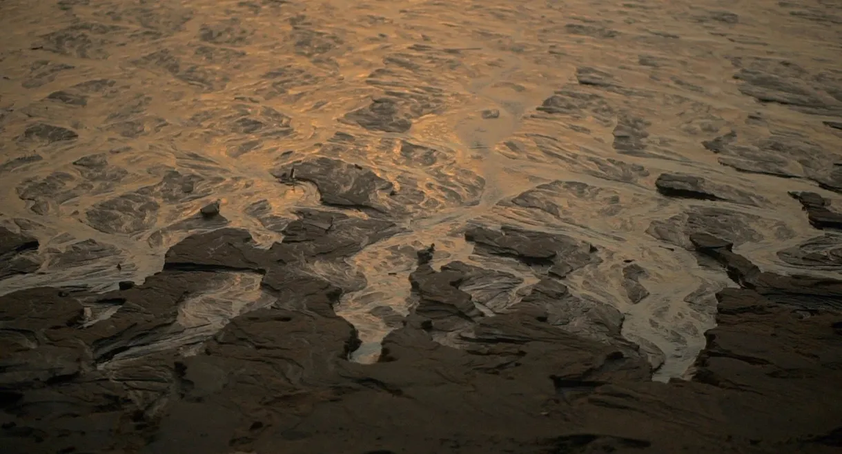 The Last Drop