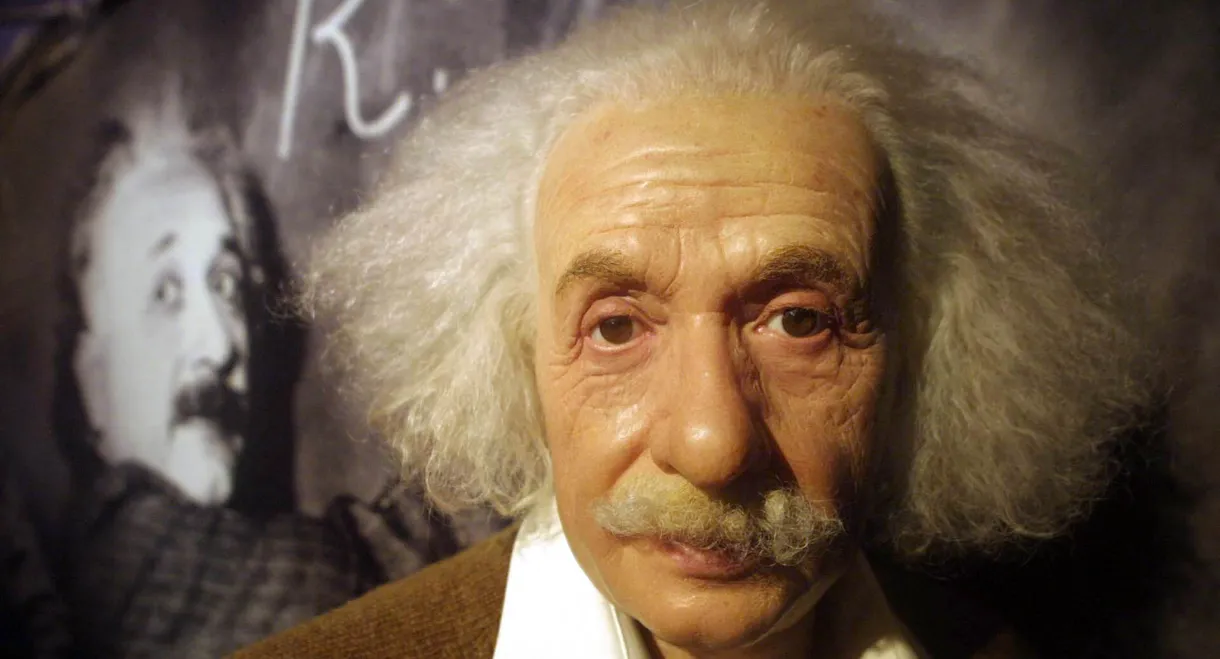 Die Physik Albert Einsteins