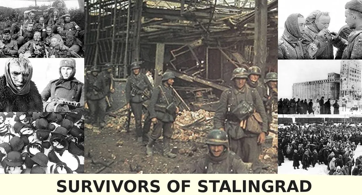 Survivors of Stalingrad