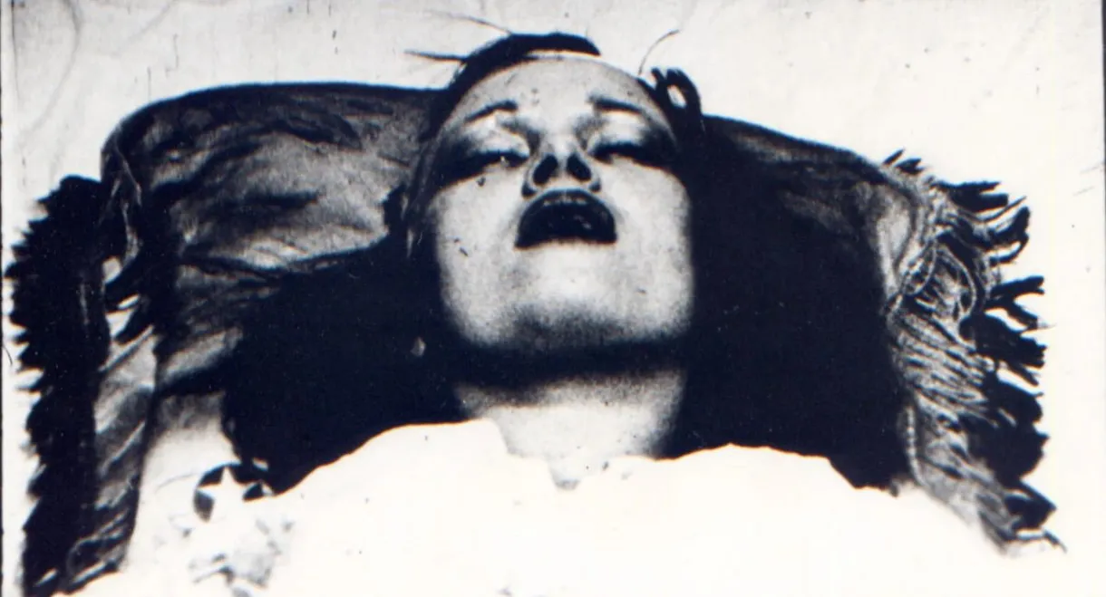 Ecstatic Stigmatic