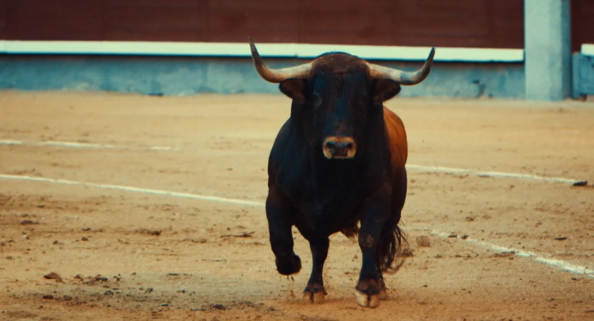 Toro