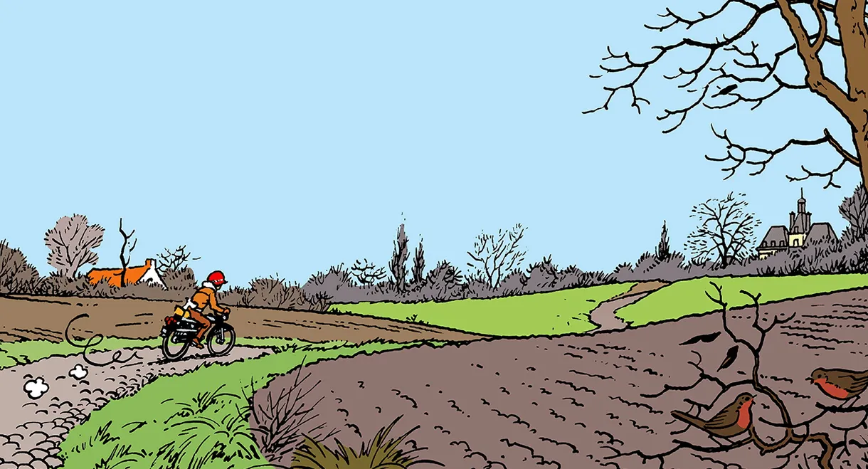 Tintin and the Picaros