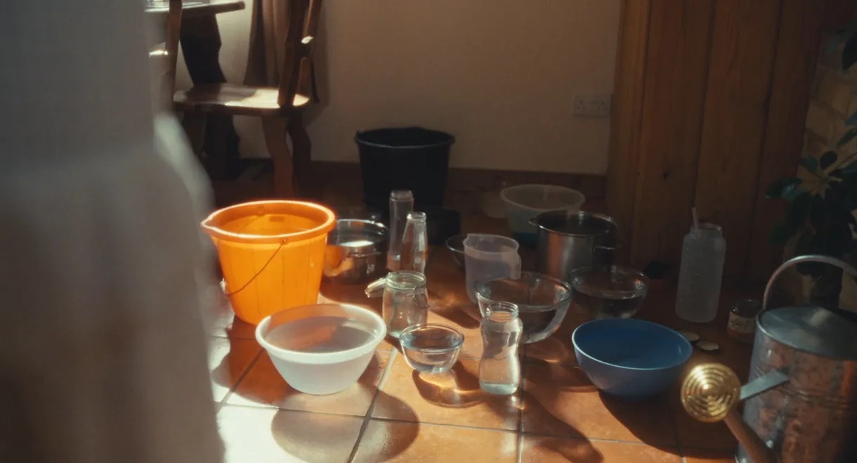 The Sink