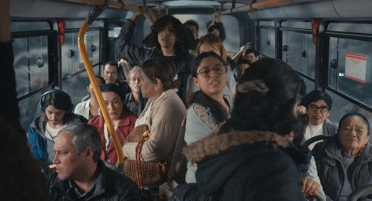 Bus